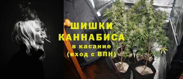 МДПВ Заводоуковск