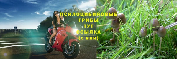 МДПВ Заводоуковск